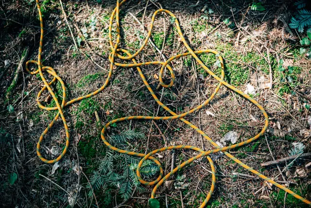Gelbes Kletterseil auf dem Waldboden.