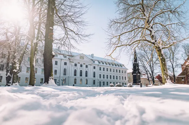 Hauptgebäude der Universität Greifswald im Schnee, davor kahle Bäume.